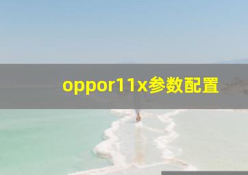 oppor11x参数配置(