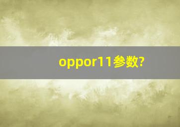 oppor11参数?