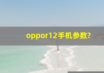 oppor12手机参数?