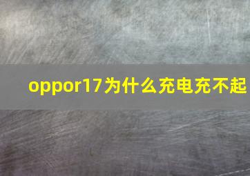 oppor17为什么充电充不起