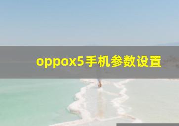 oppox5手机参数设置