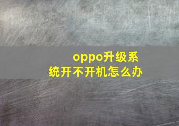 oppo升级系统开不开机怎么办