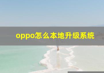 oppo怎么本地升级系统