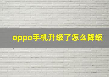 oppo手机升级了怎么降级