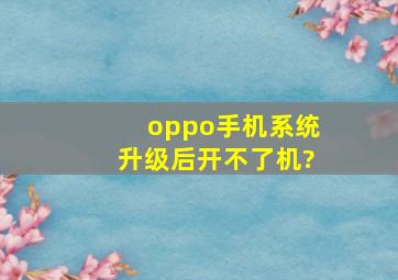 oppo手机系统升级后开不了机?