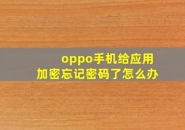 oppo手机给应用加密忘记密码了怎么办