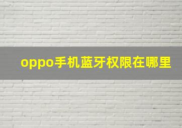 oppo手机蓝牙权限在哪里