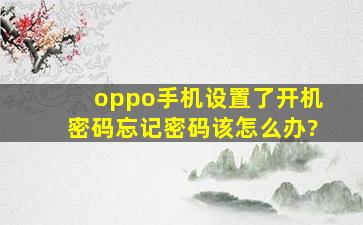 oppo手机设置了开机密码,忘记密码该怎么办?