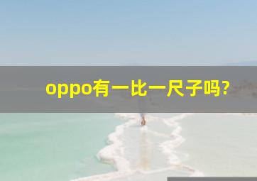 oppo有一比一尺子吗?