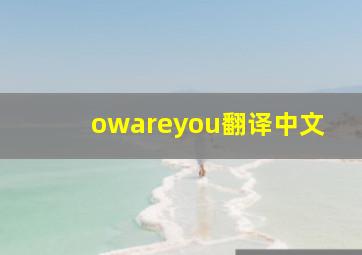 owareyou翻译中文