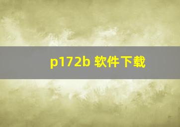 p172b 软件下载