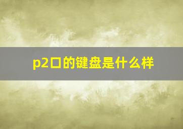 p2口的键盘是什么样