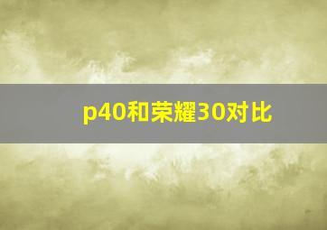 p40和荣耀30对比