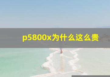 p5800x为什么这么贵