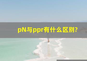 pN与ppr有什么区别?