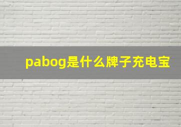 pabog是什么牌子充电宝