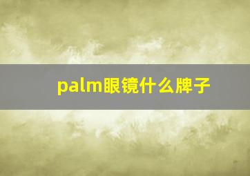 palm眼镜什么牌子