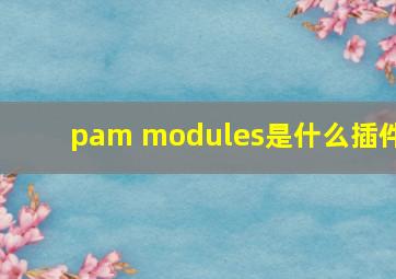 pam modules是什么插件