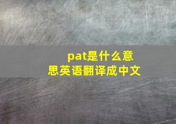 pat是什么意思英语翻译成中文