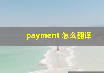 payment 怎么翻译
