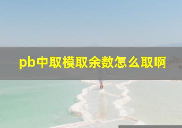 pb中取模(取余数)怎么取啊