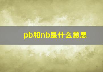 pb和nb是什么意思(