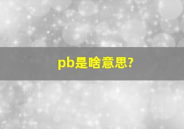 pb是啥意思?