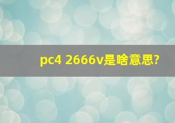 pc4 2666v是啥意思?