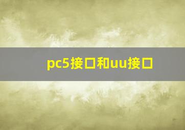 pc5接口和uu接口