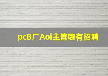 pcB厂Aoi主管哪有招聘