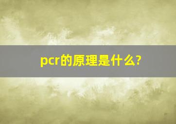 pcr的原理是什么?