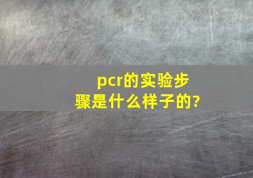 pcr的实验步骤是什么样子的?