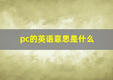 pc的英语意思是什么