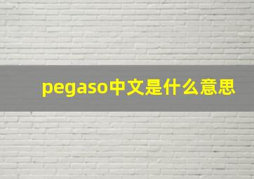 pegaso中文是什么意思