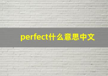 perfect什么意思中文