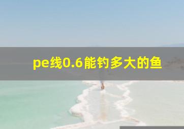 pe线0.6能钓多大的鱼