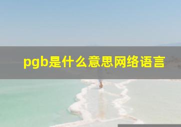 pgb是什么意思网络语言