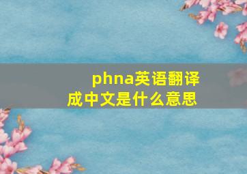 phna英语翻译成中文是什么意思