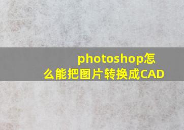 photoshop怎么能把图片转换成CAD