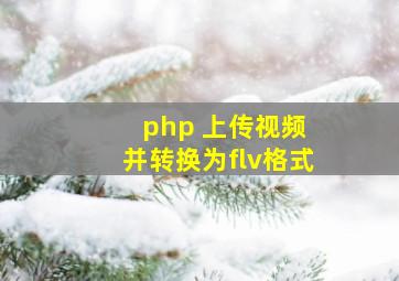 php 上传视频 并转换为flv格式