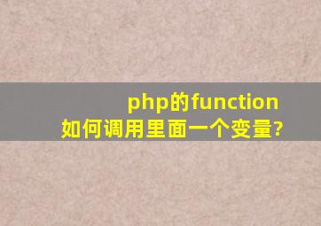 php的function 如何调用里面一个变量?