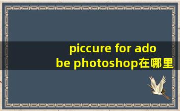 piccure for adobe photoshop在哪里下载得到