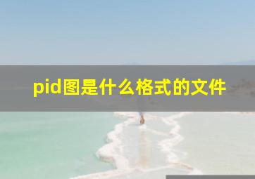 pid图是什么格式的文件