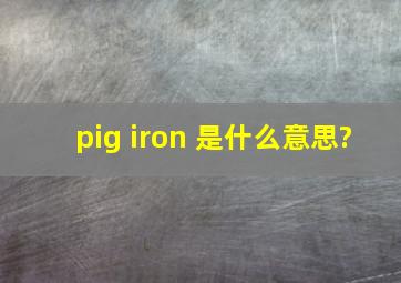 pig iron 是什么意思?