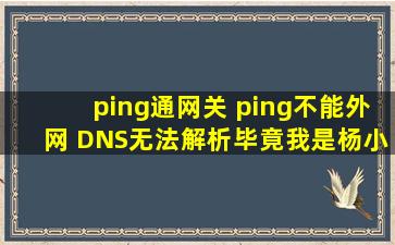 ping通网关 ping不能外网 DNS无法解析  毕竟我是杨小飞i 