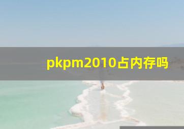 pkpm2010占内存吗