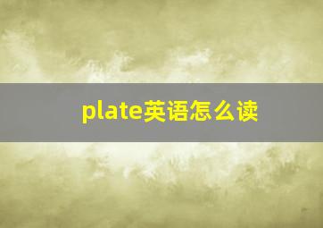 plate英语怎么读