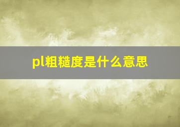 pl粗糙度是什么意思