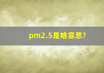 pm2.5是啥意思?