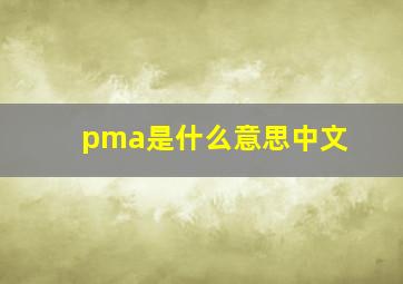 pma是什么意思中文
